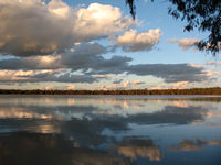 _the evening light is perfect